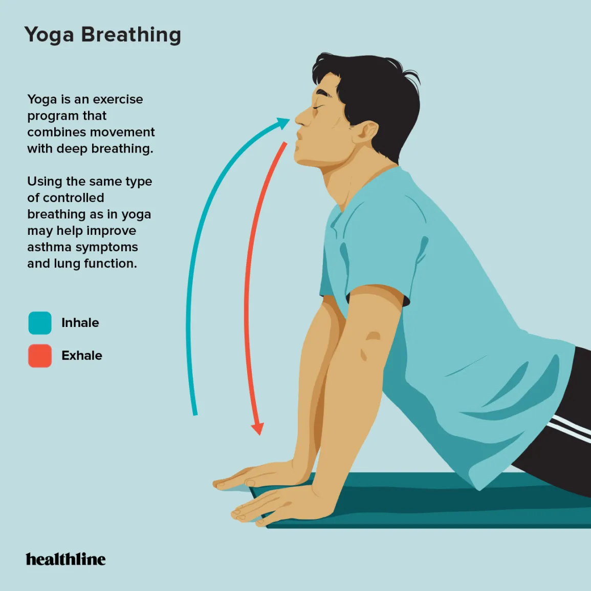 HL 2428827 6 Breathing Exercises for Severe Asthma 1296x1296 Infographic Yoga Breathing