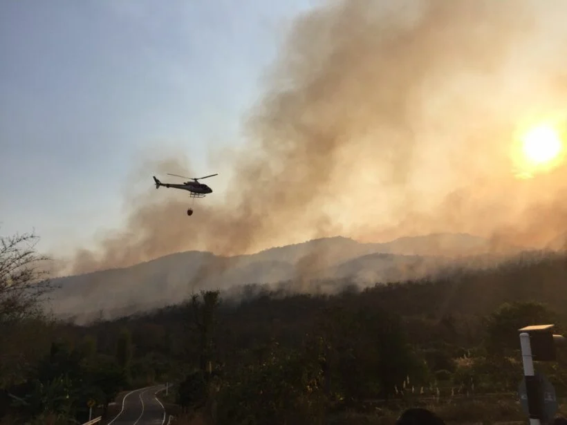 Forest Fires in Northern Thailand Worsening PM2.5 Air Quality