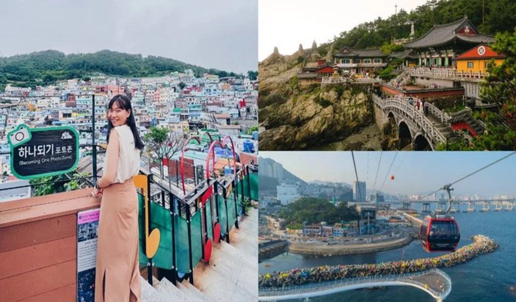 The Best Things To Do In Busan