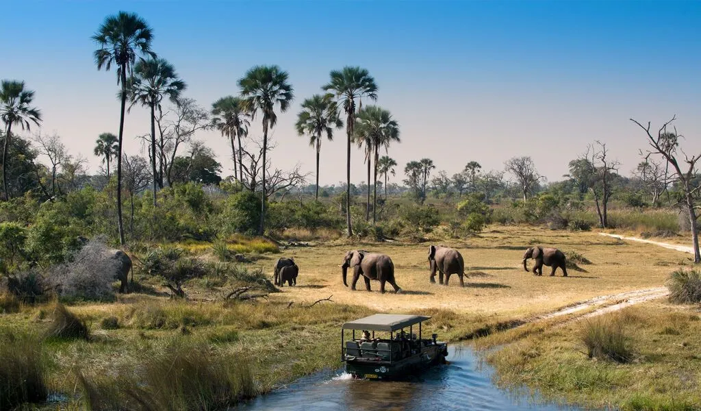Why Okavango Delta is the Best Destination for a Safari