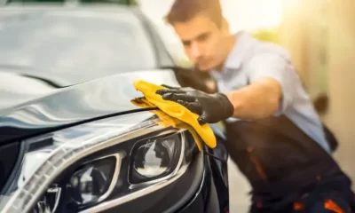 car grooming