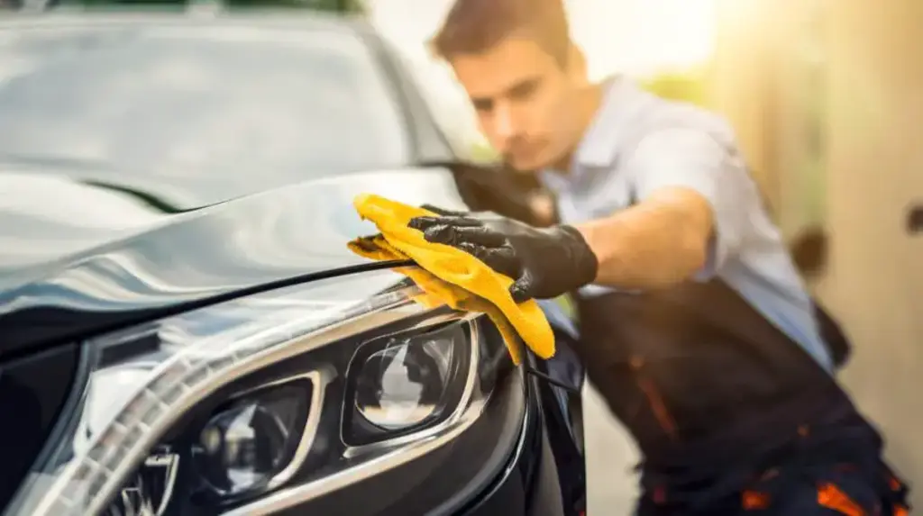 car grooming