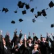 Higher Education