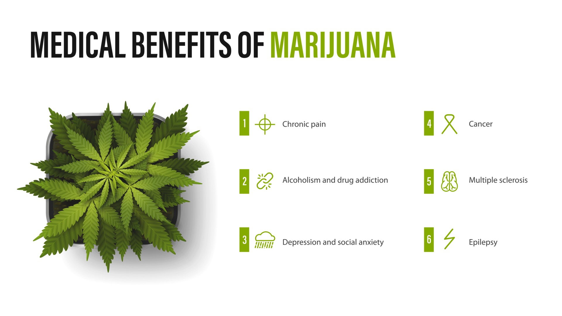 medical benefits of marijuana white poster with infographic and bush of cannabis in a pot benefits uses of medical marijuana vector