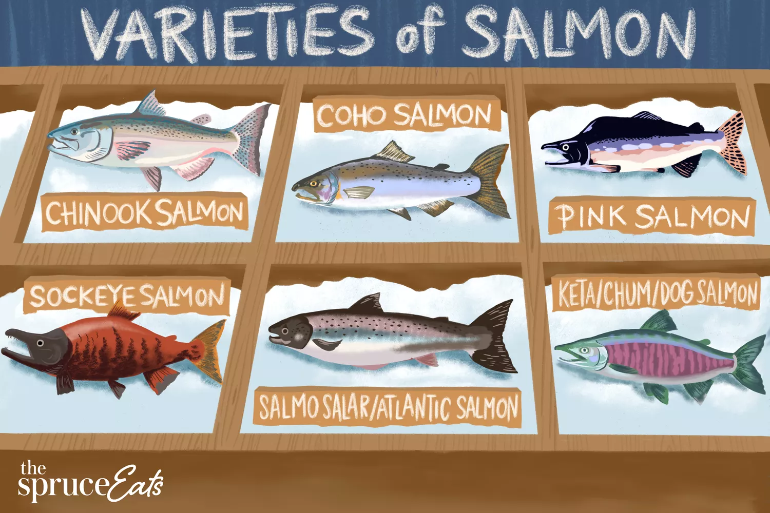 Health Benefits Of Salmon Why You Should Include This NutrientPacked