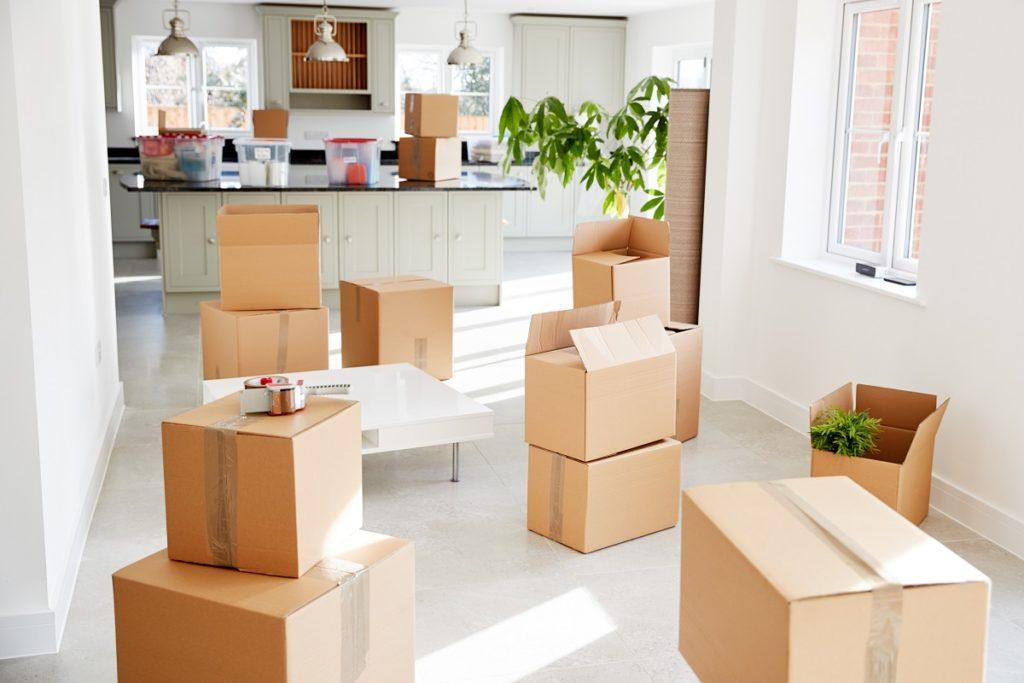 What to Expect During a Move Out Cleaning