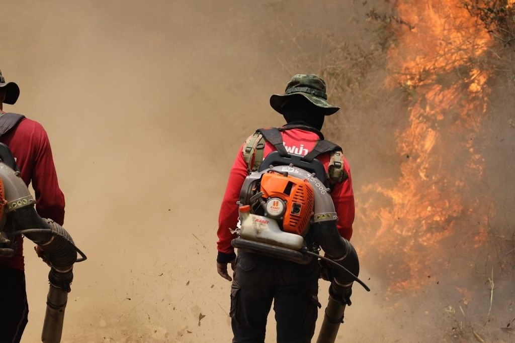 Chiang Rai Suffers Worst Wildfire in 20 Years