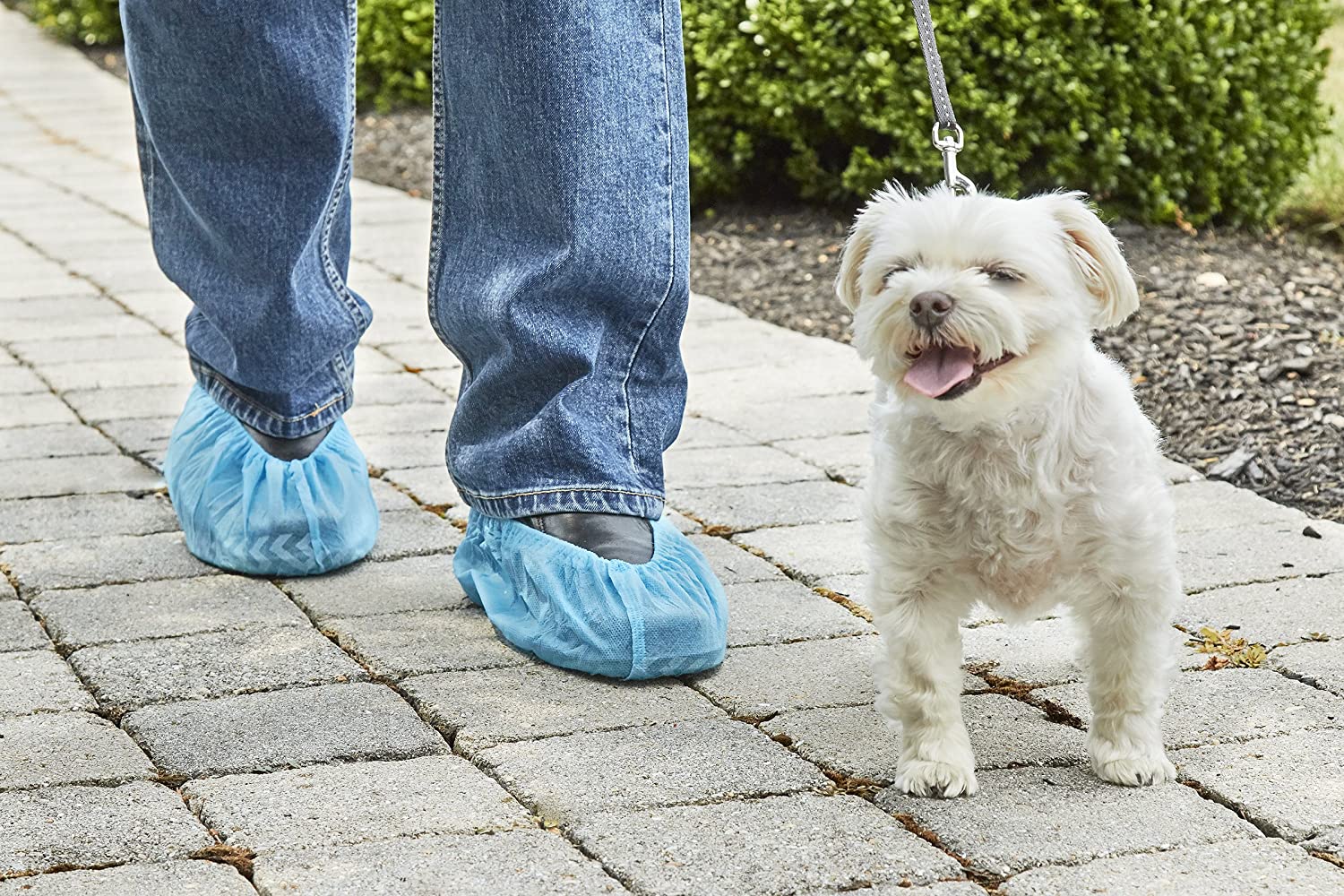 4 Reasons Why Disposable Shoe Covers are Important for Pet Lovers