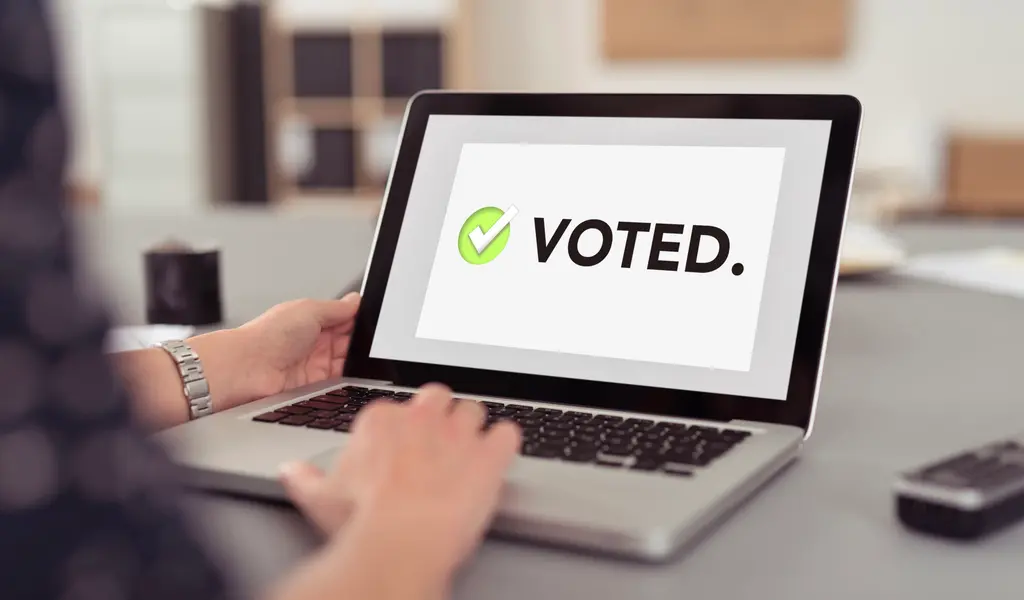 The Pros and Cons of Buying Votes in Online Contests