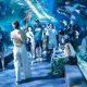 Tourists Flocking to Sea Life Bangkok and Underwater World Pattaya