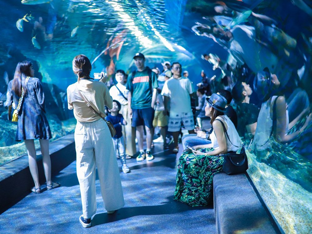 Tourists Flocking to Sea Life Bangkok and Underwater World Pattaya