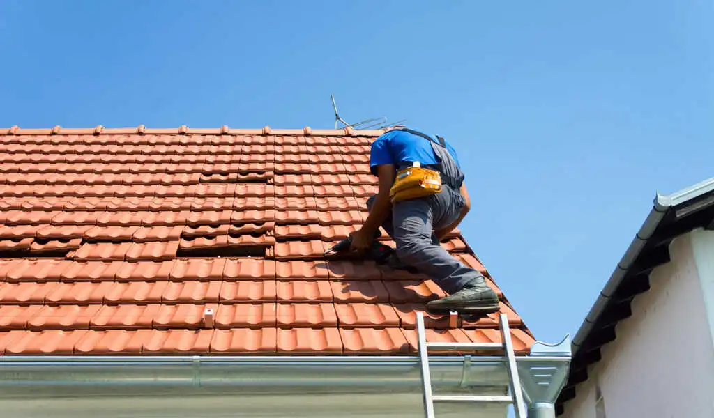 What Every Homeowner Needs to Know About Roof Maintenance?