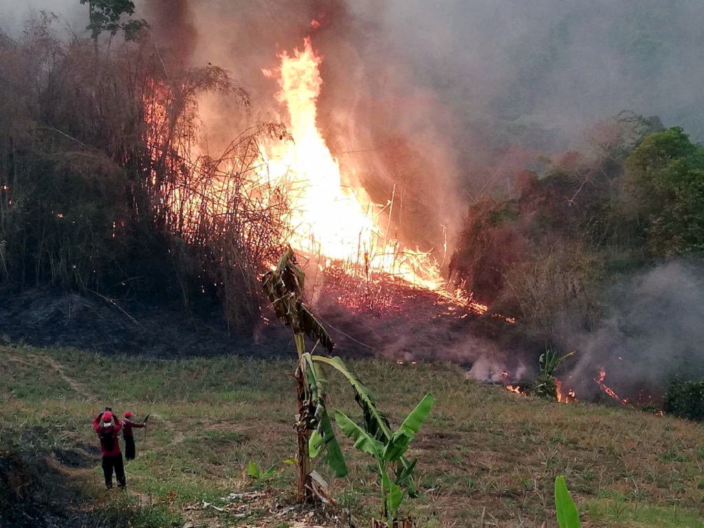 Chiang Rai Suffers Worst Wildfire in 20 Years