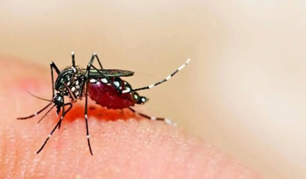 India's Fight Against Malaria: Point-Of-Care Diagnostics And Technologies