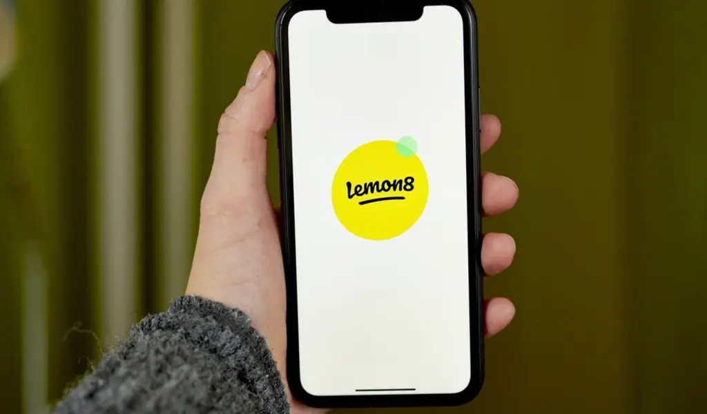 Lemon8