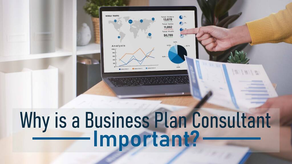 Business Plan Consultant