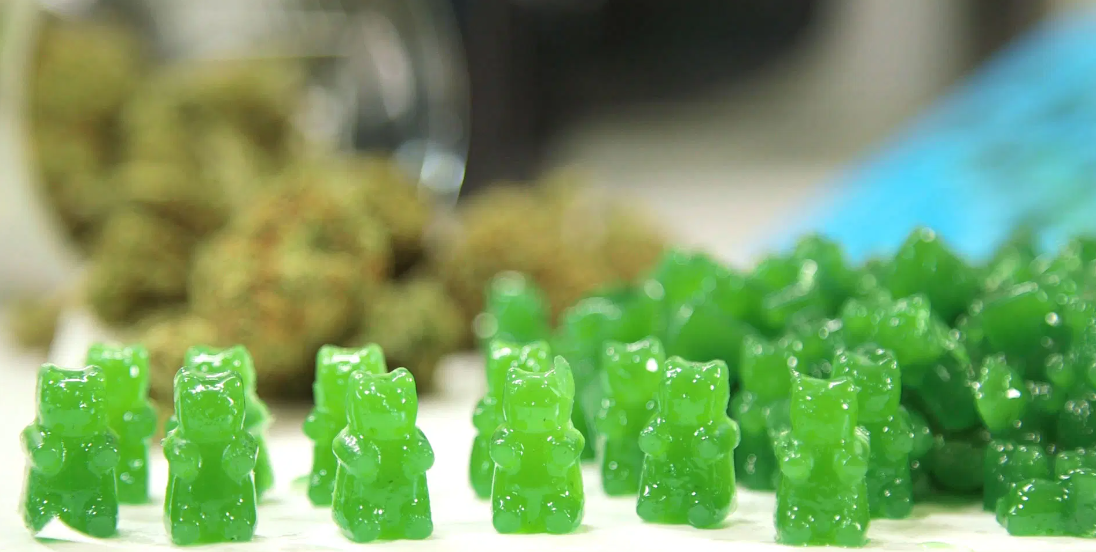CBD Oil Gummy Bears: The Sweetest Way to Enjoy the Benefits of CBD