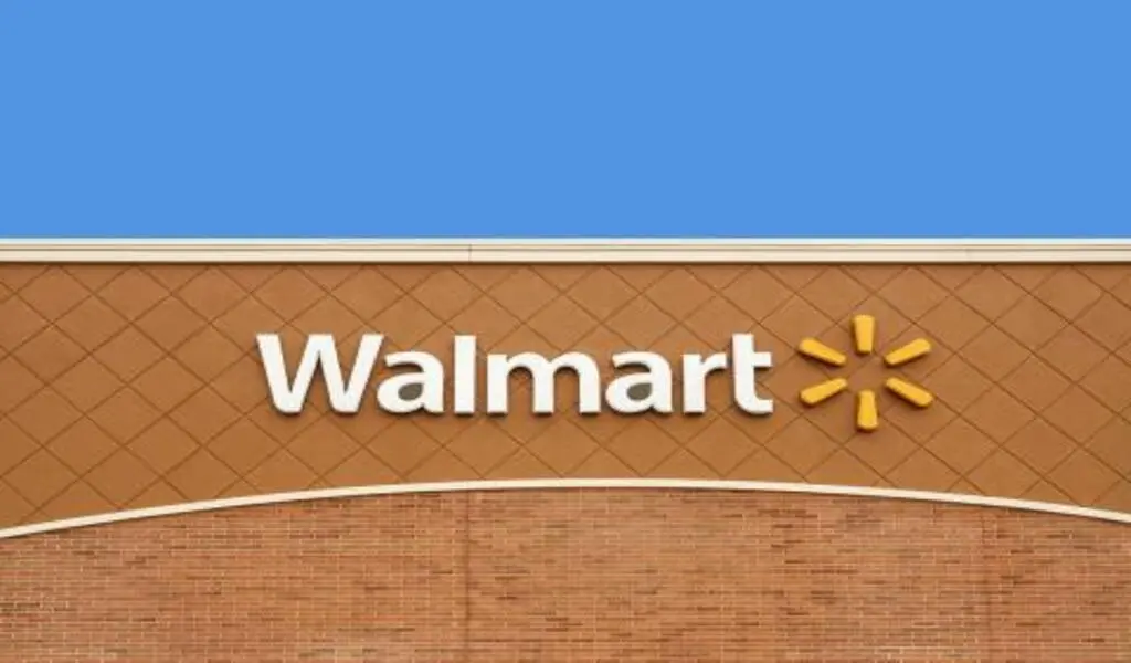 Walmart Sheds Light On India's Manufacturing And Supplier Networks