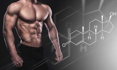 Anabolic Steroids For Bodybuilding