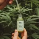 CBC Cannabinoid: Everything You Need to Know