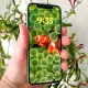 How to Delete Wallpapers on iOS 16