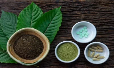 Kratom Strains: A Comprehensive Guide to the Different Varieties and Their Effects