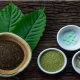 Kratom Strains: A Comprehensive Guide to the Different Varieties and Their Effects