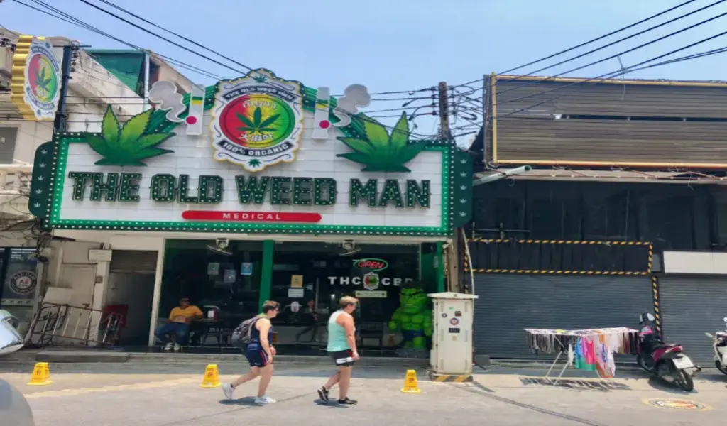 Thailand's Cannabis Industry Threatened by Cheap US Imports Despite Decriminalization