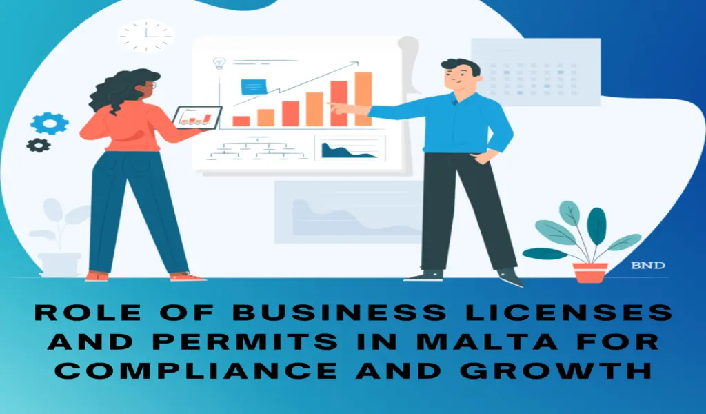 The Role of Business Licenses and Permits in Malta for Compliance and Growth