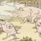 The True Story of The Three Little Pigs - Children Stories