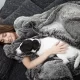 Top Reasons Personalized Blankets Are The Best Gifts For Your Furry Friends
