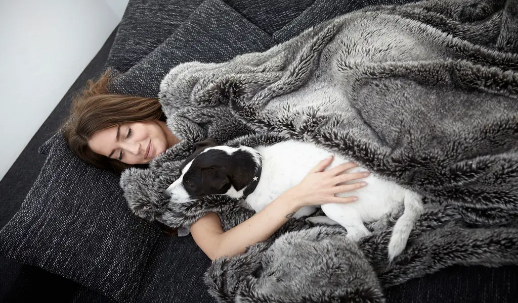 Top Reasons Personalized Blankets Are The Best Gifts For Your Furry Friends