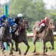 Win Like A Pro In This Year's Kentucky Derby