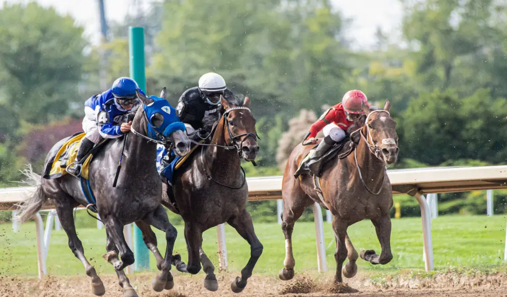Win Like A Pro In This Year's Kentucky Derby