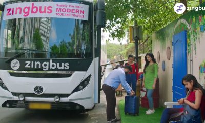 Zingbus Voted the Best Bus Service