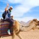 A Comprehensive Guide to Your Morocco Tour