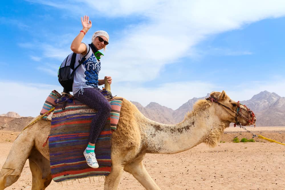 Camel riding morocco