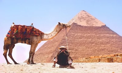 14 Things You Don’t Want to Miss on Your Egypt Trip