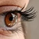 The Use Of Oral Probiotics May Aid In Dry Eye Disease Treatment