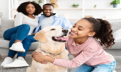 Adopting a Pet: Finding the Perfect Companion for your Lifestyle and Personality