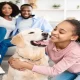 Adopting a Pet: Finding the Perfect Companion for your Lifestyle and Personality