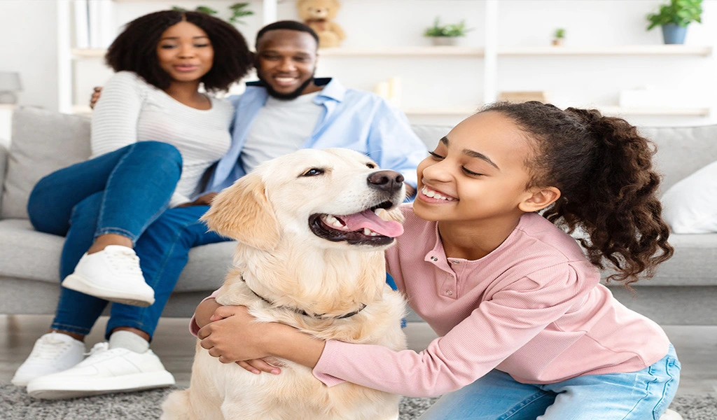 Adopting a Pet: Finding the Perfect Companion for your Lifestyle and Personality