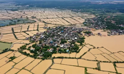 China's Agricultural Sector Struggles with Floods and Extreme Heat
