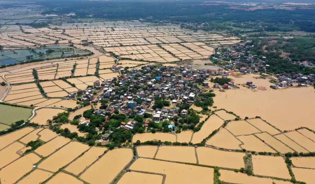 China's Agricultural Sector Struggles with Floods and Extreme Heat