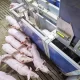 Pig Farm Equipment: A Detailed Analysis