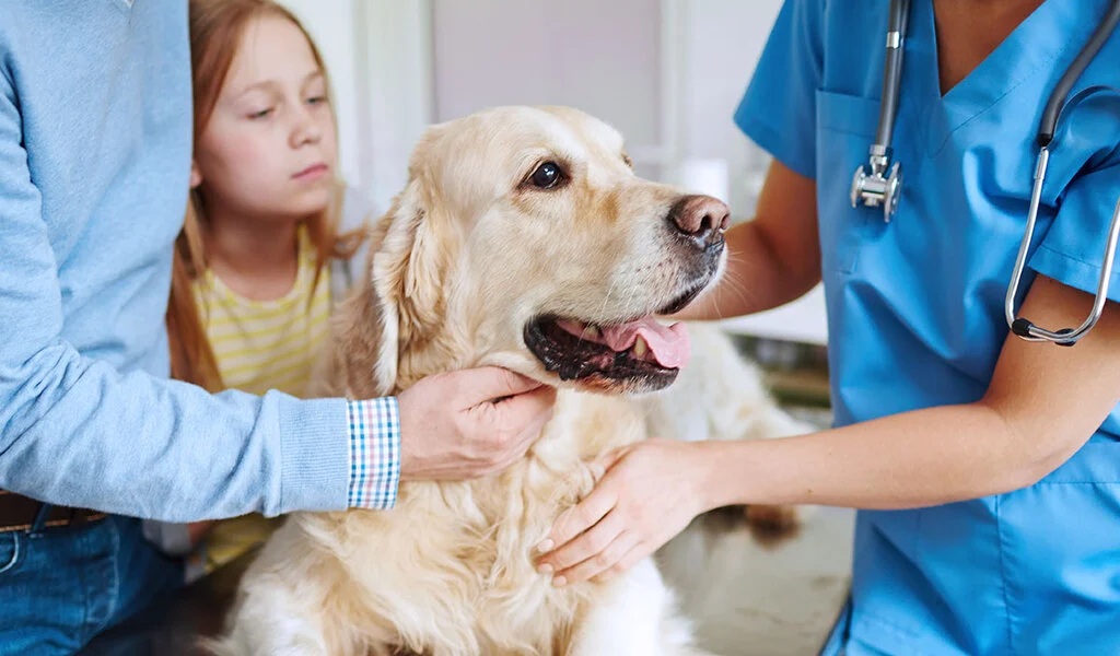 The Pros and Cons of Buying Pet Insurance