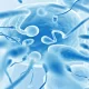 Understanding The Process Of Obtaining Donor Eggs And Sperm