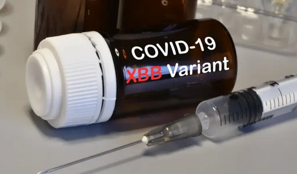 Updated Covid Vaccines Need to Target XBB Omicron Variants this Fall