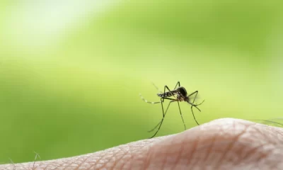 This year, West Nile Virus Cases Have Been Unusually Early In The State
