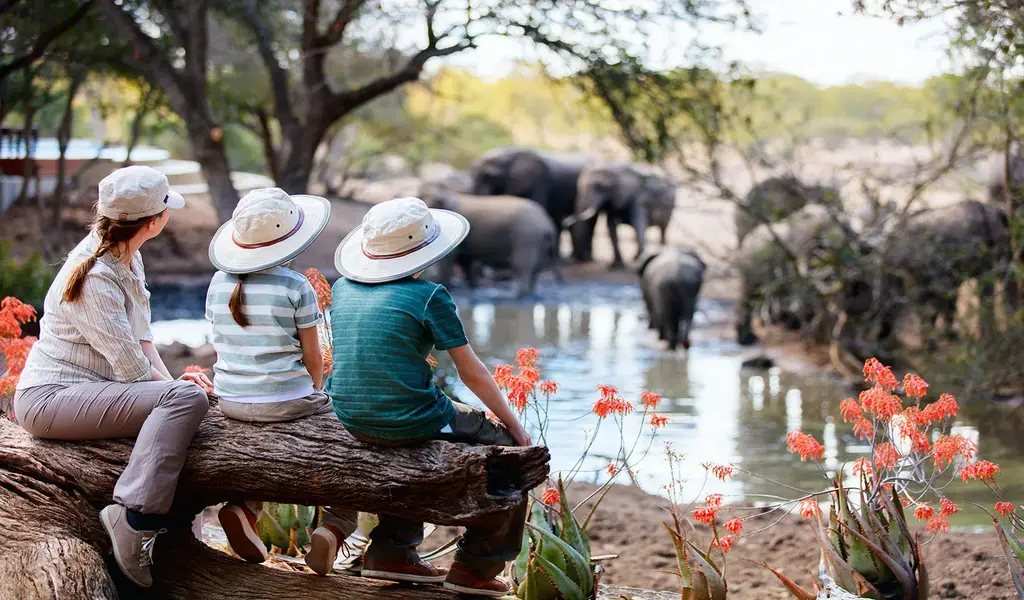Wild Wonder: Exploring Africa's Safaris with Your Loved Ones